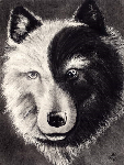2803-2.PNG
